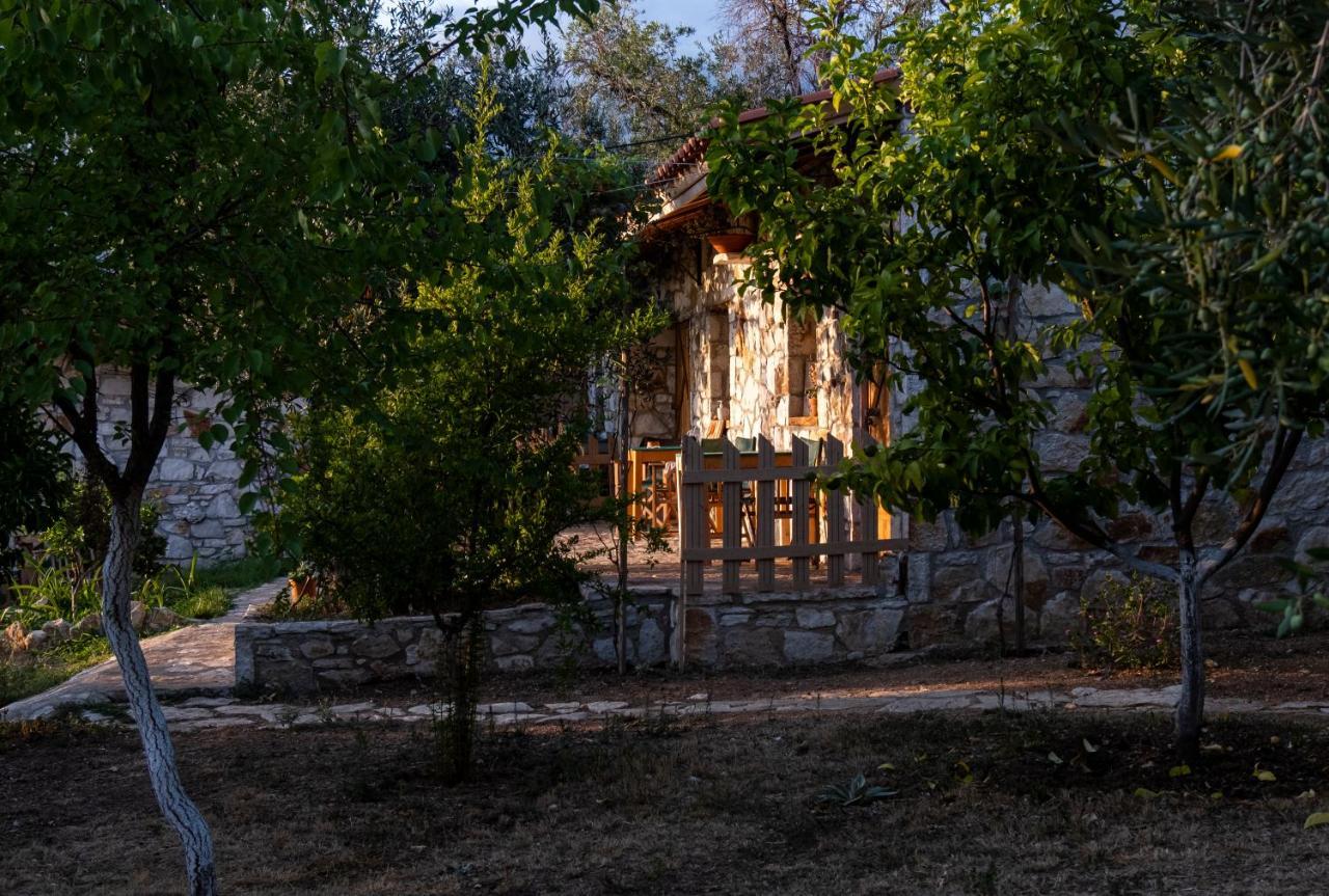 Filoxenia - The Place Of Experience ฮีมาเรอ ภายนอก รูปภาพ